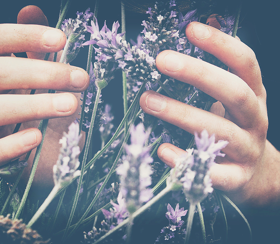 Aromatherapie1.jpg